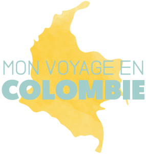 Création de site wordpress et contenu web