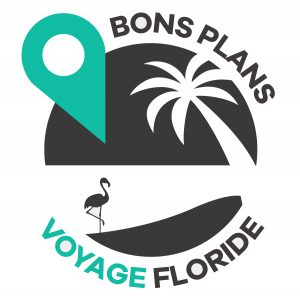 Création de logos et site wordpress